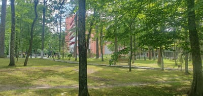 The image depicts a park setting in the area of Chonkaŭski Sel'ski Saveckaja, Belarus. The foreground is dominated by a dirt path winding through a grassy area, bordered by trees with green foliage. In the midground, a paved pathway curves through the park, with several wooden benches situated alongside it. Beyond the pathway, more trees create a dappled light effect on the ground. In the background, a multi-story building with an orange facade and white balconies is visible through the trees, as is another building with a light-colored facade and multiple windows. The environment appears to be an urban park or a recreational area within a residential complex.