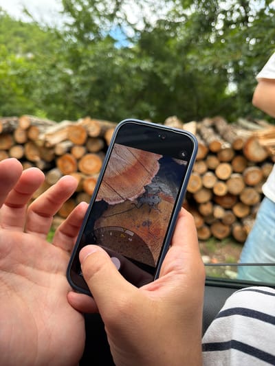 A close-up shot captures a person's hands holding a dark-colored smartphone in an outdoor setting in Dubovik, Montenegro. The phone's screen prominently displays a detailed image of a large, mottled gray and black beetle situated on the textured, cut surface of a tree log, which exhibits distinct growth rings. The phone appears to be in a specialized camera or photo analysis mode, showing interface elements such as a radial dial with numerical markings ("2," "4," "8") and text ("2x," "40"), possibly indicating zoom magnification or a measurement feature. A small green dot, likely a privacy indicator, and an icon resembling a video camera with a diagonal line through it are visible at the top left of the screen.
The background, rendered in soft focus, reveals a large stack of neatly arranged logs or firewood. Lush green foliage and hints of blue sky are visible, indicating a natural, open-air environment. A portion of another person, clad in a white and navy striped shirt, is visible on the right side of the frame, along with what appears to be a part of a vehicle's interior. The overall scene depicts a moment of nature observation or macro photography in a rustic, wooded area.