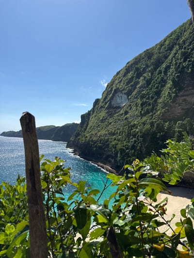 View of Kelingking Beach, Nusa Penida, Bunga Mekar, Indonesia, looking down from a high, vegetated cliff. The turquoise water of the ocean contrasts with the white sand of the beach below. Dense green vegetation covers the cliff face. A wooden rail or branch is partially visible in the foreground, with green leaves of a tree or bush obscuring some of the view. The sky is a clear blue.