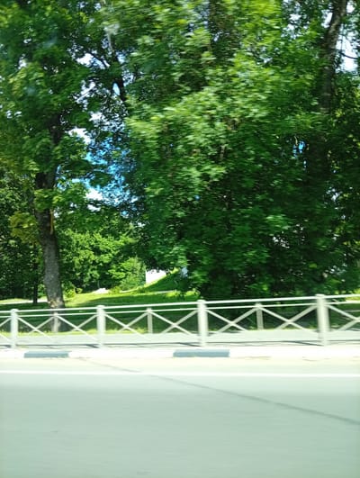 The image captures a view from a moving vehicle, looking towards a park or green space. The scene is dominated by lush green trees, their leaves blurred due to motion. A white metal fence with a diamond pattern runs horizontally across the middle ground, separating the road from the grassy area beyond. The road in the foreground is paved and appears to be a street or highway. The time of day is likely daytime, with bright sunlight casting shadows. The weather appears to be pleasant and sunny, indicated by the vibrant green foliage and the clear blue sky visible through the tree canopy. The setting suggests an urban or suburban environment with access to natural spaces, possibly a park or a tree-lined boulevard in Pskov, Russia. There are no visible people or text in the image.