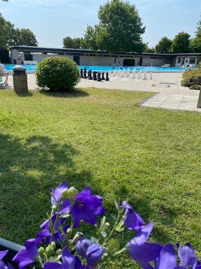 In Deutschkreutz, Austria, a sunny day is depicted at an outdoor swimming pool. In the foreground, vibrant purple flowers are in bloom, partially obscuring the view of a well-maintained lawn. Beyond the lawn, a large, bright blue swimming pool is visible, with several people swimming and relaxing. Adjacent to the pool, a life-sized chess set is set up on a paved area, with black and white pieces arranged on a board. In the background, a modern building with a white facade and dark blue trim serves as the pool's facility. Tall green trees and a clear blue sky complete the picturesque scene.