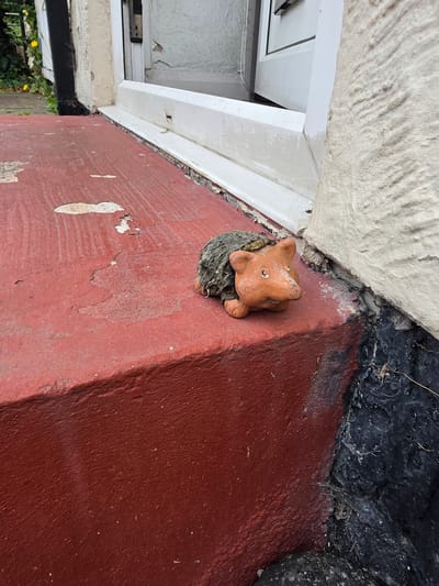 This image captures an outdoor ground-level scene in Shotton, United Kingdom, focusing on a ceramic hedgehog figurine situated on a weathered red-painted step or ledge. The figurine, with a reddish-brown head and textured, dark greyish-green back resembling spines, faces slightly right. The red surface beneath it exhibits extensive paint peeling, flaking, and discoloration. To the right of the step, a cream-colored, textured building wall, possibly stucco, is visible, with a darker, rough, possibly black-painted or natural stone base section beneath it. A white UPVC door or window frame, appearing slightly ajar, is partially visible within the wall structure in the upper right. In the far left background, green foliage and a yellow flower are discernible. No individuals are present. The lighting is natural daylight.