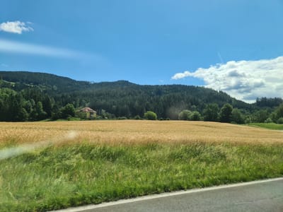 A sunlit landscape features a vast field of golden wheat in the foreground, bordered by a strip of green grass and a paved road. In the midground, a large, yellow building with a red-tiled roof stands prominently amidst a scattering of trees. Beyond the field and building, a dense forest covers the rolling hills, culminating in a clear blue sky dotted with white clouds. The image captures a serene rural scene in the vicinity of Friesach, Austria.