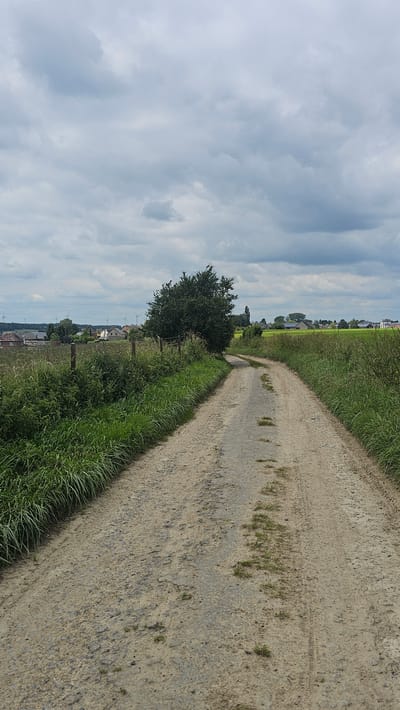 This is a vertical, full-shot photograph of a dirt road in Silenrieux, Belgium. The road curves to the right and is flanked by tall green grass on both sides. In the distance, a small cluster of houses with red roofs can be seen, interspersed with trees and fields. Several wind turbines are visible on the horizon. The sky is overcast with gray clouds. A wire fence runs along the left side of the road, partially obscured by the grass. The road surface appears worn and uneven, with patches of grass growing through the dirt. The scene suggests a rural or semi-rural setting.