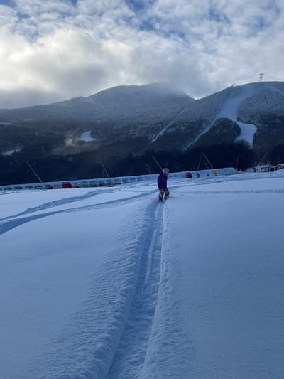 This image captures a wide shot of a snowy mountain landscape, likely at Jay Peak in the United States, during the daytime. The primary subject is an individual, dressed in a purple jacket and helmet, snowboarding down a snow-covered slope, leaving distinct tracks behind them.
The scene is set at a ski resort with vast snow-covered terrain. In the mid-ground, a white fence or barrier runs along the side of the groomed slope where the snowboarder is active. Beyond the slope, a large mountain range, heavily covered in snow and pine trees, stretches across the background. Parts of the mountains are obscured by clouds and mist, creating a dramatic atmosphere. A ski lift pylon is visible on one of the distant, snow-dusted peaks.
The sky is cloudy with varying shades of grey and white, suggesting a diffused light conditions, typical of a winter day. The fresh, untracked snow in some areas indicates recent snowfall or well-maintained slopes. There is no visible text in the image.