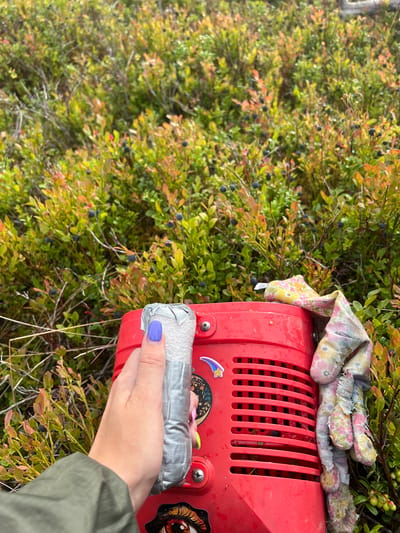 A first-person perspective shot shows a person's hand with purple nail polish holding the handle of a red plastic bucket. The bucket has silver duct tape wrapped around its handle, and a pair of floral-patterned gloves are hanging from the side of the bucket. The background is filled with low-lying blueberry bushes, some with ripe blue berries and others with green and red foliage, indicating the current season. The environment appears to be a natural, outdoor setting with a focus on berry picking. The specific location of Tolloreka, Russia is not discernible from the visual information presented in the image.
