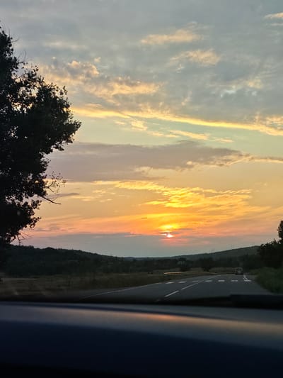 The image depicts a rural highway at sunset, possibly located near Zakharivka, Ukraine. The sky is filled with a vibrant display of orange, yellow, and pink clouds, illuminated by the setting sun peeking through the haze. A dark silhouette of a tree dominates the left side of the frame. The road curves gently into the distance, with white lines marking the lanes. A lone vehicle is visible on the road ahead. The landscape on either side of the road is characterized by rolling hills covered in dark vegetation. In the foreground, the dark interior of a vehicle can be seen, suggesting the photograph was taken from inside a car.