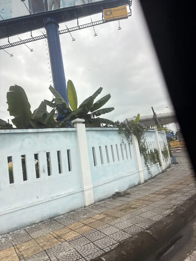 The scene depicts an urban roadside environment in Hòa Cường Ward, Vietnam, under an overcast sky. A large billboard with a blue central support pole dominates the upper left, displaying a yellow rectangular advertisement panel featuring the "GOLDSUN" logo, telephone number "090 464 6699", and website "goldsungroup.com.vn". Behind a light blue wall with white vertical pilasters and evenly spaced rectangular openings, several large banana plants are visible. Climbing vines with small purple flowers are draped over the right section of the wall. A grey and light brown patterned sidewalk, composed of square tiles with a semi-circular fan motif, extends along the base of the wall. Patches of moisture are visible on the sidewalk and along the dark curb. In the distant right background, a blue trash bin, utility poles, and elements of an elevated road structure or bridge are visible, along with a partially obscured road sign bearing Vietnamese text that includes "CẢNH BÁO" (Warning). The right foreground is partially obstructed by a dark, diagonal element, likely a vehicle's interior frame. A small bird rests on a banana leaf near the top left of the wall. No individuals are present.