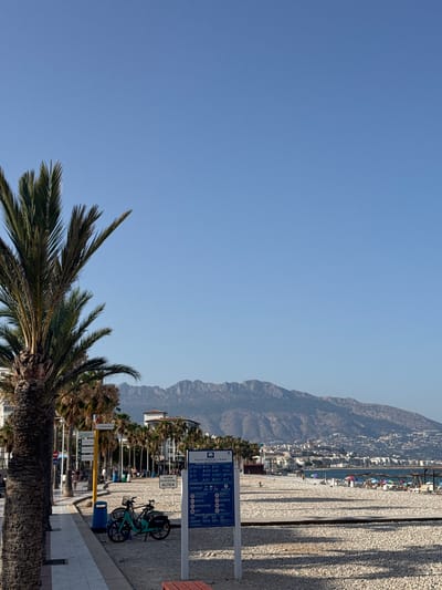 The image depicts a daytime scene on a beach in l'Alfàs del Pi, Spain. A large palm tree dominates the left side of the frame. In the background, a coastline with buildings and a mountain range stretches across the horizon under a clear blue sky. The beach itself is covered in white pebbles, with a paved walkway running along the left edge. Two bicycles are parked near the walkway, and a blue signpost with information is visible. Further down the beach, beach chairs and umbrellas are set up, with a few people scattered throughout. The overall atmosphere is serene and suggests a typical summer day at the coast.