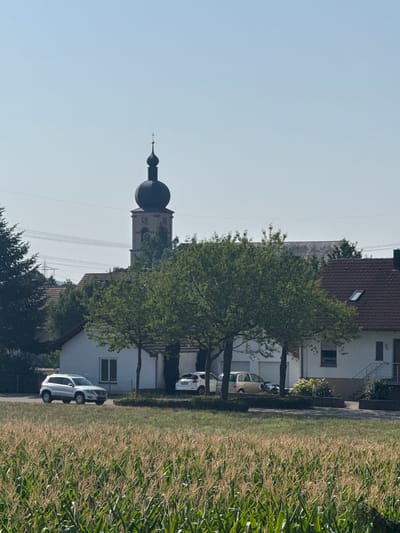 This image depicts a rural scene in Kappel-Grafenhausen, Germany, under a clear blue sky. In the foreground, a field of tall, green corn stalks stretches across the frame, with some stalks showing dried tassels. Behind the cornfield, a paved area is visible, where two cars are parked. A silver SUV, possibly a Volkswagen Tiguan, is parked on the left side of the paved area, facing right. To its right, a light-colored sedan is parked, also facing right. Beyond the paved area and parking, a low white building with a dark tiled roof is situated. A mature tree with dense green foliage stands in front of this building. Further in the background, the distinctive steeple of a church rises above the trees. The steeple is dark-colored, with a rounded top and a cross at its apex. Several other buildings with red tiled roofs are visible behind the white building and to the right. Electrical transmission lines and poles are also visible in the background, stretching across the sky. The overall impression is one of a sunny, quiet day in a German village.