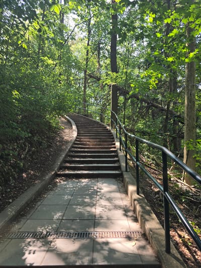 The image shows an outdoor staircase in a forest in Vilémovice, Czechia. The staircase is made of concrete with metal railings on the right side. The steps are illuminated by dappled sunlight filtering through the dense green foliage of the surrounding trees. The path leading up to the stairs is paved with square concrete tiles, and a metal grate is visible in the foreground, likely for drainage. The environment is lush and natural, with trees and undergrowth characteristic of a forest. No people are present in the image.
