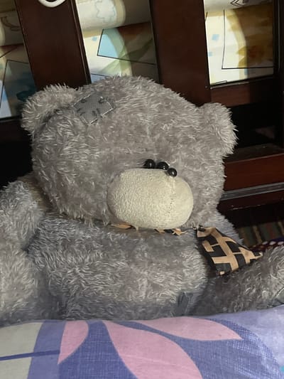 A grey teddy bear with black eyes and a patterned bandana is seated on a surface with a pink and purple patterned fabric in what appears to be a bedroom or nursery setting. The bear is plush and has a somewhat worn appearance, with a small grey patch on its forehead. The background consists of wooden furniture and what looks like a crib or bed with colorful bedding. There is no visible indication of the city of Kuyun, Uzbekistan.