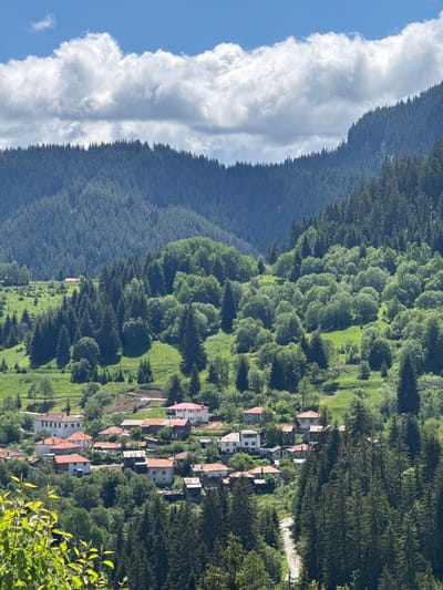 A photograph captures a scenic view of the mountainous village of Gela, Bulgaria. The image is dominated by a dense forest of evergreen trees covering rolling hills and the slopes of mountains. In the foreground, bright green foliage frames the lower left corner of the scene. A cluster of houses with red-tiled roofs are nestled within the greenery, appearing as if built into the landscape. The houses are a mix of styles, some featuring white walls and others with stone accents. A narrow, unpaved road winds its way through the village and into the surrounding trees. The sky above is a vibrant blue, dotted with fluffy white clouds, suggesting a bright, clear day. The overall impression is one of a remote, tranquil village set amidst a beautiful, natural environment.