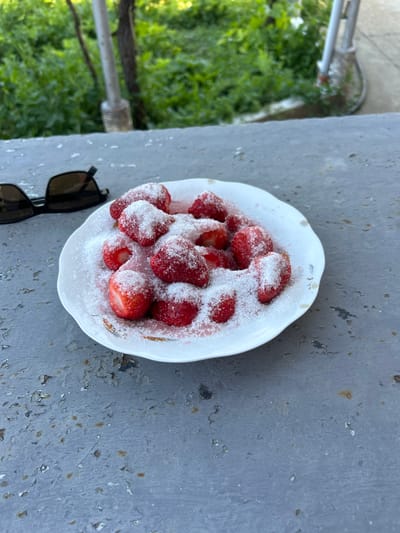 A top-down shot shows a white dish filled with strawberries heavily coated in white sugar, next to sunglasses on a weathered gray surface. To the left is a glimpse of green foliage and a partially visible metal structure, suggesting an outdoor setting. The rough texture and flaking paint of the gray surface indicate it is aging and possibly exposed to the elements. The setting is Aidemir, Bulgaria.