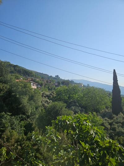 The image displays a panoramic landscape in Tire, Turkey, characterized by a clear blue sky over a hilly, verdant terrain. Five parallel black power lines traverse the upper portion of the sky, extending horizontally across the frame. The middle ground features a densely forested hillside, dotted with several residential buildings exhibiting light-colored facades and reddish-brown tiled roofs. A tall, slender, dark green cypress tree stands prominently on the right side of the mid-ground. In the distant background, a hazy mountain range is visible, along the ridge of which multiple white wind turbines are erected. The immediate foreground is dominated by lush green foliage, including branches with large, lobed leaves consistent with a fig tree on the right, and a segment of barbed wire visible in the lower-left corner. No people or animals are present.