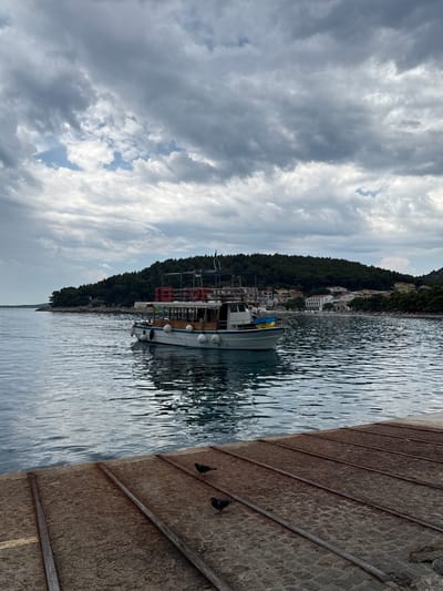 A boat is docked in the harbor of Drvenik, Croatia. The boat is white with a wooden deck and a tan roof. It has several life preservers stacked on its roof and is tied to a dock. The water is calm and reflects the cloudy sky. In the background, a lush green hill overlooks the town, which is dotted with buildings. Two pigeons are perched on the concrete dock in the foreground.