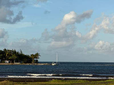 The image displays a coastal landscape in Māhina, France, under a partly cloudy sky. The foreground features a narrow strip of green grass transitioning into a dark-colored beach or shoreline where small waves are breaking. A body of dark blue water occupies the midground, exhibiting surface ripples and multiple breaking waves. A white sailboat with a prominent mast is visible in the water, positioned near a wooden pier that extends from a vegetated landmass on the left. This landmass is densely covered with various trees, predominantly palm trees, and a small, light-colored structure is partially discernible among the foliage. The background comprises the open water extending to the horizon, beneath a sky with scattered white and grey cumulus clouds against a light blue backdrop. No individuals are visible in the scene.