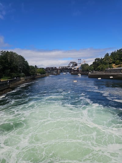 The image shows a view of the Hiram M. Chittenden Locks in Seattle, Washington, United States of America. The locks are a set of navigation locks that connect the fresh waters of Lake Washington and Lake Union to the salt waters of Puget Sound. In the foreground, the water is churning and frothy, indicating a strong current. Beyond the frothy water, the canal stretches out, with boats visible on the water. In the background, two large railway bridges span the canal, and on the right side of the canal, there is a hill covered with trees and a few people can be seen walking along a path. The sky is blue with scattered white clouds. The scene appears to be a sunny day.