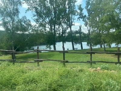 This media file presents a tranquil natural landscape in Lesichovo, Bulgaria, under bright daylight. The foreground is dominated by a rustic, dark wooden fence, partially obscured by a dense growth of light green grass and weeds, some with tiny white flowers.

Beyond the fence, a neatly maintained green lawn slopes gently towards a calm body of water, possibly a river or lake. Along the water's edge, a line of tall, leafy trees forms a verdant backdrop. These trees appear to be a mix of species, including some with lighter bark resembling birches and others with fuller, darker canopies, possibly poplars. Through the foliage, a clear blue sky with scattered white clouds is visible. One of the trees on the right side, close to the water, shows a distinctively broken or jagged top. A solitary wooden bench is discernable on the opposite bank, hinting at a designated area for quiet enjoyment of the scenery.

The scene conveys a peaceful atmosphere with no discernible human activity. The bright lighting suggests it is daytime, likely during late spring or summer given the lush greenery. There is no visible text in the image.