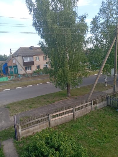 The image depicts a rural street scene in Пралетарскі сельскі Савет, Belarus. A two-story brick house with a grey slate roof is visible on the left, featuring white-framed windows and a balcony. A blue-painted addition with a green door is attached to the left side of the house. The house is bordered by a low wooden fence and a concrete retaining wall. Several birch trees with green foliage are scattered throughout the scene, some leaning across the sky. A concrete utility pole with an electrical box stands on the right side of the frame, with power lines running horizontally across the sky. A paved road runs along the front of the houses, with a sidewalk and grassy areas on either side. The ground is covered in grass, with some bushes and small white flowers visible in the foreground. The sky is a light blue with some clouds. The overall impression is that of a quiet, residential area in the countryside.
