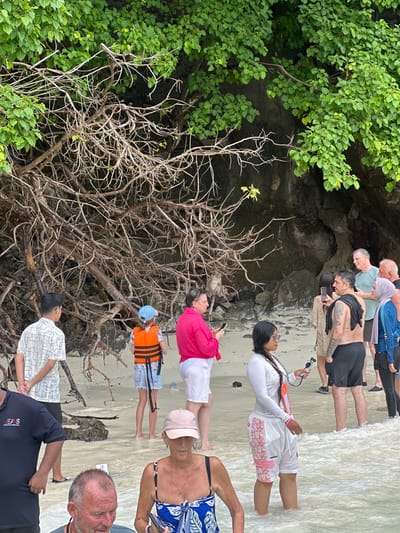 A group of people, including tourists and possibly a guide, are gathered on a sandy beach in Ton Sai, Thailand, near a rocky outcropping with lush green trees and tangled roots. Several individuals are standing in shallow water, while others are on the dry sand. A young child wearing an orange life vest stands out among the group. Some people are looking at their phones, possibly taking pictures or videos. One person is holding what appears to be a camera or recording device. The atmosphere seems casual, and the individuals are dressed in light, casual clothing suitable for a beach environment. The natural scenery is prominent, with the jungle-like vegetation and the rocky shore creating a tropical setting.