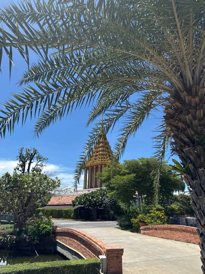 The image is a low-angle shot taken from beneath a palm tree, framing the sky above. The palm fronds are prominent in the foreground, creating a natural border. The background includes a glimpse of a golden structure, possibly a temple or pagoda, amidst green trees and foliage. A brick wall and a paved road are visible on the right side of the frame. The clear blue sky suggests a sunny day. The location is within the city of Bang Pu Subdistrict Municipality, Thailand, as indicated by the architecture of the golden structure.