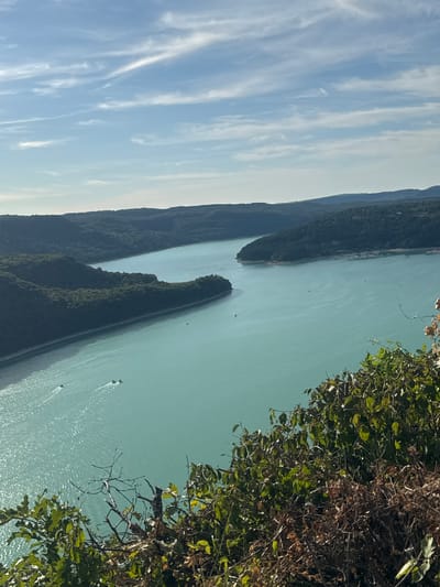 An aerial view captures a vast, turquoise body of water winding through densely forested hills under a partly cloudy sky. Several boats are visible on the water, leaving white wakes. The foreground is dominated by lush green foliage and dry brush. The scene depicts the Lac de Vouglans, a reservoir in the Jura department of France, near the town of Moirans-en-Montagne.