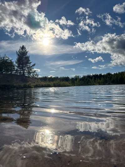 A low-angle shot captures a body of water with ripples reflecting the sky and surrounding trees. The sky is a vibrant blue, punctuated by white, fluffy clouds. The sun shines brightly, its rays creating a dazzling glare on the water's surface. In the background, a dense line of evergreen trees stretches across the horizon, with a sandy embankment and a few solitary pine trees visible on the left. The scene is serene and natural, with no people or visible structures. The image appears to be taken during daylight hours.