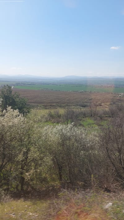 The image depicts a landscape near Radomirtsi, Bulgaria. On the left side is a blue sky with a single cloud. To the right is a view of agricultural fields. One field appears green with crops while an adjacent field is plowed. Between the fields and the foreground are trees and vegetation, some with white blossoms. The foreground consists of trees and ground cover.