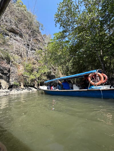 A long, blue boat with a white interior, carrying passengers, is situated on green water near a rocky shoreline. Trees grow from the rocks and along the riverbank. The boat has a life preserver on board. The sky is visible between the trees and appears bright.