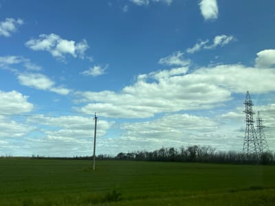 The image depicts a rural landscape likely taken near Znamenka, Russia, though this cannot be confirmed from the image alone. The scene features a large open field of green grass. The sky is blue with scattered white clouds. Power lines and a utility pole stand in the mid-ground. Two metal electricity pylons are located to the right of the image. A line of trees marks the horizon in the background. There are no people visible in the image.