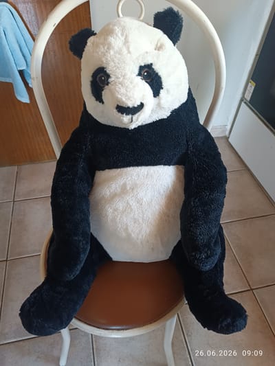 A plush panda toy sits on a white metal chair with a brown seat. The panda has black patches around its eyes, ears, and limbs, with a white belly and face. To the left of the chair, a light blue towel hangs on a wooden door. The floor is tiled in a beige and brown pattern. In the background, a light grey wall and a portion of a white appliance are visible. The image is dated 26.06.2026 at 09:09. The scene appears to be an indoor setting, possibly a home or a room in Strovolos, Cyprus.