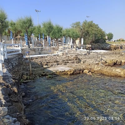 The image shows a rocky shoreline with clear water in Molfetta, Italy. In the background, there are trees, beach umbrellas, and small structures, suggesting a beach or recreational area. A metal railing is visible on the rocks, providing access to the water. The sun is shining, casting shadows on the rocks and illuminating the water. The bottom right corner of the image displays a timestamp: "23.06.2026 08:56".