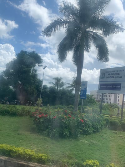 The scene depicts a sunny, daytime view in Mloganzila, Tanzania. In the foreground, a large palm tree with prominent fronds extends into the sky. A sign for "Hospitali Ya Taifa Muhimbili Mloganzila" is visible, indicating the presence of a national hospital. A smaller sign with "NMB" and an arrow pointing to an ATM is also present. The ground is covered in green grass and flowering bushes with red blooms. Beyond the signs, a building can be seen, likely part of the hospital complex. Parked motorcycles are at the bottom of the image. The sky is blue with scattered white clouds.