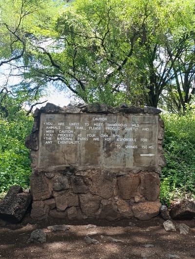 A stone sign is situated in Tsavo North National Park in Kenya, at the coordinates -2.983, 38.022. The sign is a weathered, rough-hewn stone structure, with white painted text. The sign is surrounded by a grassy area. The text warns visitors to proceed quietly and at their own risk, as they are likely to meet dangerous wild animals on the trail. The sign also states that the National Parks are not responsible for any eventualities. An arrow points to the direction of the springs, which are 150 meters away.  Dense foliage, likely of Acacia trees, is visible in the background.