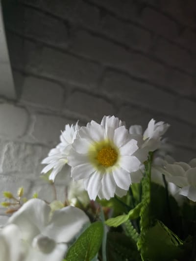 A close-up shot features a bouquet of artificial white daisies with yellow centers, set against a background of a textured white brick wall that transitions to a darker, shadowed area. The lighting creates a dramatic contrast, with the flowers illuminated from the front and the background softly lit. One prominent daisy is in sharp focus in the foreground, its petals finely detailed. Other flowers and green foliage are visible, some in sharp focus and others slightly blurred, adding depth to the composition. The overall impression is one of artificial floral arrangement on a domestic setting, possibly a windowsill or shelf within a building. There is no indication of the specific location within Offenbach am Main, Germany, as the image lacks any identifiable landmarks or street views.