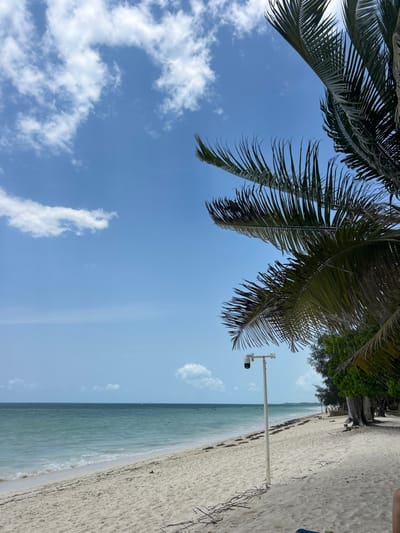 This image depicts a daytime view of a beach in Kiwengwa, Tanzania. The scene includes a clear blue sky with scattered white cumulus clouds occupying the upper portion of the frame. The middle ground features a calm ocean, transitioning from light turquoise near the shore to a darker blue on the horizon. Several small, dark shapes, possibly vessels, are visible in the distant water, with one appearing to be a sailboat with a white sail.
The foreground and mid-ground are dominated by a wide stretch of white sandy beach. Darker patches of seaweed are present along the waterline. A white pole, topped with a white, dome-shaped CCTV camera, stands on the sand to the right of the frame's center. To the right, various green trees line the back of the beach, including prominent palm fronds partially obscuring the upper and mid-right portions of the sky and beach. Dry, dark, branch-like debris is scattered on the sand in the lower right, near the tree line. No discernible individuals or significant interactions are visible in the foreground or mid-ground; distant, indistinct figures may be present far down the beach to the right.