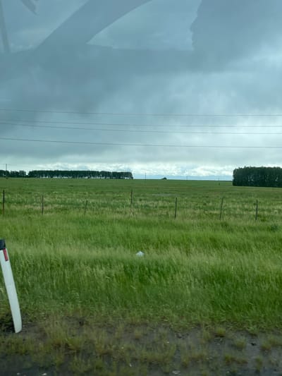 The image shows a rural landscape viewed from inside a vehicle. A green field stretches across the majority of the frame, bounded by a line of trees and fence posts. Electrical power lines run parallel to the tree line. The sky is overcast with heavy clouds. Part of the vehicle's interior is visible. The location is unknown, but there is no information to support the statement that it is located in the city of Кокино, Russia.