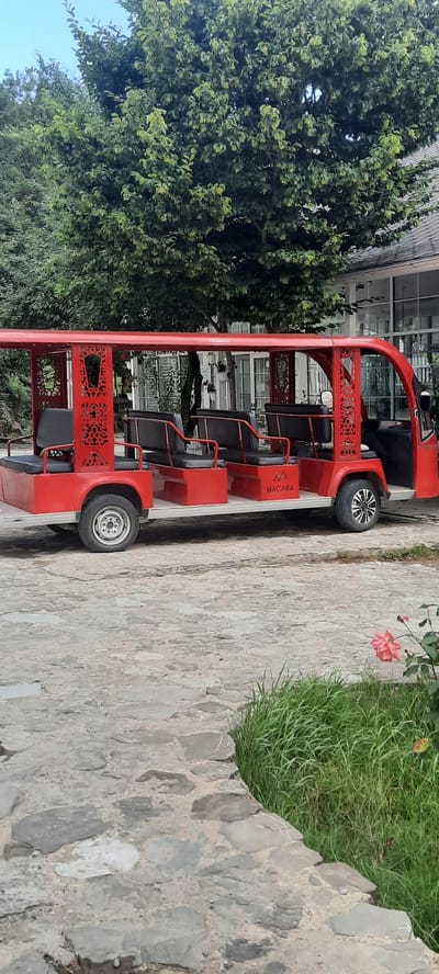 A bright red, open-air electric shuttle bus is parked on a stone pathway in front of a building with large windows. The bus has multiple rows of black bench seats and decorative red metal latticework along its sides. The word "MACARA" is visible in white lettering on the side of the bus, along with a logo. Green trees with dense foliage are behind the bus, and to the right, there is a patch of tall green grass with a single pink rose in bloom. The building appears to be modern with a light-colored roof. The sky is visible above the trees, appearing overcast or bright white. There are no people visible in the image. The scene is a still shot, and no actions are taking place. The environment suggests an outdoor recreational area or a resort.