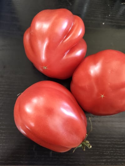 Three large, ripe red tomatoes are arranged on a dark, textured surface, possibly a wooden table. The tomatoes are organic in shape, with some exhibiting irregularities and lobes, characteristic of heirloom varieties. One tomato, in the foreground and to the left, is elongated with a slightly pointed end. A second tomato, positioned to the right and slightly behind the first, is more rounded. The third tomato, located at the top and slightly to the left, is distinctly lobed and appears to be the largest of the three. Each tomato has a small, star-shaped indentation where the stem was attached, and one tomato has a bit of green stem and vine still attached. The lighting creates highlights and shadows on the smooth skin of the tomatoes, emphasizing their plumpness and vibrant color. The dark background provides a strong contrast, making the red of the tomatoes stand out prominently. The overall scene is a close-up, top-down view, focusing solely on the produce. There are no people, animals, or any indication of the city of Mieszkowice, Poland, present in this image.