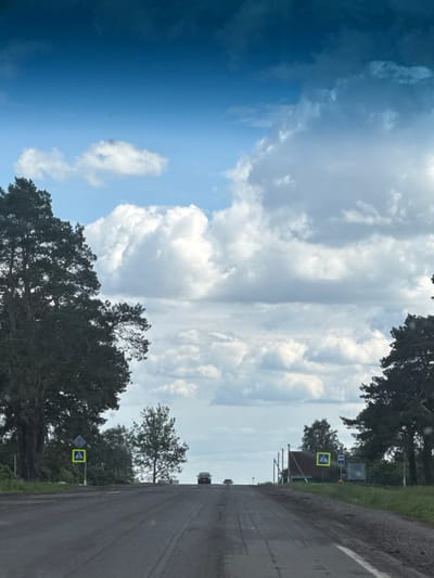 The image shows a road leading towards a distant horizon under a partly cloudy sky. On the left side of the road, a large pine tree stands prominently. Further down the road, a pedestrian crossing sign with a yellow background and a blue symbol of a person walking is visible. To the right of the pedestrian crossing sign, there is a bus stop with a shelter. A few cars are present on the road, one in the distance on the right and another on the left. The road surface appears to be asphalt and shows signs of wear, with some patches and tire marks. The surrounding environment consists of greenery and trees, suggesting a rural or semi-rural setting. The overall scene depicts a typical roadside view in a somewhat overcast day.