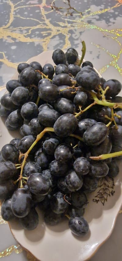 A close-up, overhead shot captures a cluster of dark, plump grapes resting on a decorative white plate. The grapes appear fresh, with some droplets of water visible on their surfaces. The plate has a delicate gold trim and a subtle floral pattern in black on its right side. The background is a textured surface with a gray and gold marbled pattern, hinting at a table setting. The lighting is soft, casting gentle shadows. The scene appears to be an indoor setting, possibly a home or a restaurant in Khasanbay, Uzbekistan, where the grapes are presented as a snack or part of a meal.