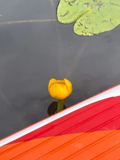 In Mesliki, Russia, a close-up shot captures a yellow water lily bud emerging from dark, still water. To the upper right, a portion of a green lily pad with dark speckles is visible. The foreground is occupied by a bright red and orange surface, textured with diagonal ridges, suggesting the edge of a boat or raft. The water appears calm and reflects light minimally.