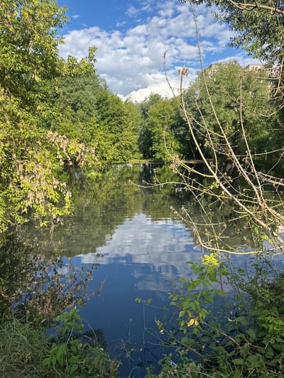 The image depicts a tranquil waterscape, likely a canal or river, bordered by lush green trees and vegetation. The water's surface reflects the sky, which is a vibrant blue dotted with fluffy white clouds, suggesting a pleasant, sunny day. The reflection is so clear that it creates a mirror image of the sky and the surrounding foliage, almost indistinguishable from the actual scene.
Several bare branches of a tree, possibly an Acer or Willow, extend into the frame from the top, their delicate twigs reaching towards the water. Some small green leaves are beginning to sprout on these branches, indicating the arrival of spring or early summer. In the distance, partially obscured by trees, a building with white walls and a pinkish roof can be seen, hinting at a park or a residential area adjacent to the waterway.
The scene is peaceful and serene, evoking a sense of calm and natural beauty. There are no people or animals explicitly visible in the main body of the water, although the ripples suggest movement. The overall impression is one of a secluded, natural oasis, perfect for quiet contemplation. The photo appears to have been taken mid-day, given the bright sunlight and the clear sky. No text is visible in the image.