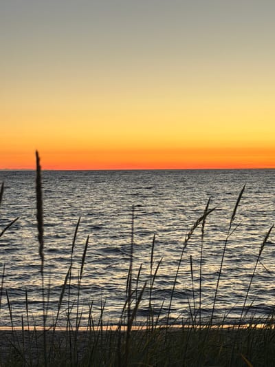 The image depicts a tranquil coastal scene at sunset in Meremõisa, Estonia. The sky transitions from a pale grey at the top to vibrant hues of orange and yellow closer to the horizon. A vast expanse of the Baltic Sea stretches across the middle of the frame, with gentle waves reflecting the warm colors of the sky. In the foreground, tall blades of grass and reeds are silhouetted against the water and sky, adding a natural, wild element to the composition. The beach is visible in the lower portion of the image, with dark sand and a subtle reflection of the sunset. There are no people or man-made structures visible in the scene, emphasizing the serene and undisturbed nature of the environment.