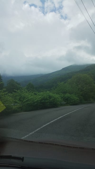 The image depicts a scenic view from a moving vehicle, likely on a winding road. The perspective is skewed, suggesting the photo was taken with the camera held sideways.
**Subjects:** The primary subjects are the natural landscape and the road. On the left, a lush, densely forested mountainside dominates the scene, with varying shades of green indicating different types of foliage. Some areas of the mountain are shrouded in mist or low-lying clouds, adding a sense of depth and atmosphere. On the right, a portion of the asphalt road is visible, with a white line marking its edge. The road appears to be wet, possibly from recent rain. The sky above is overcast with large, billowy white clouds, with hints of blue peeking through in some areas. Power lines are also visible in the upper left corner of the frame.
**Activity/Event:** The image captures a moment of travel through a mountainous, forested region. The composition and the slight blur suggest the vehicle is in motion.
**Notable Details:** The weather appears to be cloudy, with potential for rain or mist, especially in the mountainous areas. The time of day is difficult to determine precisely due to the overcast sky, but it seems to be daylight. The presence of forested mountains and a road suggests a rural or semi-rural location, consistent with the provided location context of Vilkhovatyi, Ukraine. The overall mood is serene and evocative of a peaceful journey through nature. No text is visible in the image.