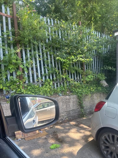 A side-view mirror reflects a parked car and a wire fence overgrown with ivy. The fence, made of horizontal metal bars, runs along a concrete path. The car in the reflection is dark, with its side and rear visible. Sunlight casts dappled shadows on the concrete. A discarded plastic bottle lies near the fence. In the background, beyond the fence, lush green trees are visible. The overall scene suggests an outdoor setting in a somewhat untidy urban or suburban area. The time of day appears to be daytime, with bright sunlight. No people are directly visible in the main frame.