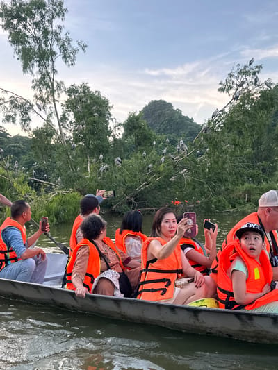 In the city of Yên Sơn Ward, Vietnam, a group of people are on a boat tour, likely in a river or calm body of water, surrounded by lush green trees and hills. The boat is filled with individuals wearing bright orange life vests, suggesting a recreational activity. Some people are taking photos with their phones, capturing the scenery and possibly the abundant birds perched on the trees. In the background, numerous birds, appearing to be egrets or similar wading birds, are visible in the branches of the trees, creating a natural spectacle. The sky is overcast with diffused light, indicating it might be late afternoon or early evening. The overall scene depicts a serene and natural setting, with tourists enjoying a local experience.