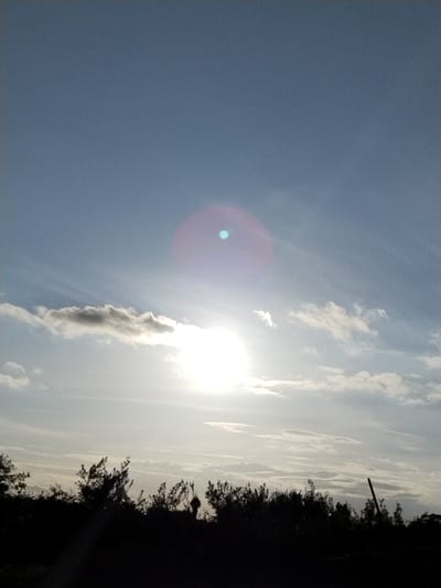 The image depicts an outdoor daytime scene captured in the city of Torre Pacheco, Spain. The upper two-thirds of the frame are occupied by a partly cloudy sky, light blue at the top, transitioning to a brighter, whitish-gray near the horizon. The sun is visible as an intensely bright, overexposed circular light source, positioned slightly to the left of the frame's central vertical axis, approximately two-thirds from the bottom. A distinct lens flare, manifesting as a purple-red circular halo with a bright cyan core, is located directly above the sun. Scattered white and light gray clouds are present, with a denser, darker cloud formation situated to the sun's left. The lower third of the image features a dark, undifferentiated silhouette of dense foliage, consistent with trees and shrubs, obscuring the foreground. A slender, dark, angled object, possibly a pole or dead branch, extends upwards from the foliage on the right side of the frame. No individuals, specific actions, or other discernible objects are present.