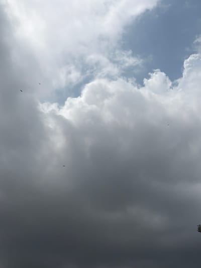 The image shows a cloudy sky with several birds flying. The sky is partially blue with white and grey clouds. The birds are small black silhouettes against the sky, appearing to be in flight. One bird is visible in the upper right portion of the image, another in the upper left, and two more are located in the lower middle section of the image. The overall lighting suggests it is daytime. The specific location in Grapevine, United States of America, cannot be determined from the image itself.